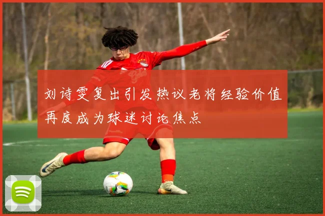 刘诗雯复出引发热议老将经验价值再度成为球迷讨论焦点